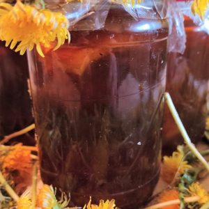 Sirup cveta Maslačka za disajne puteve