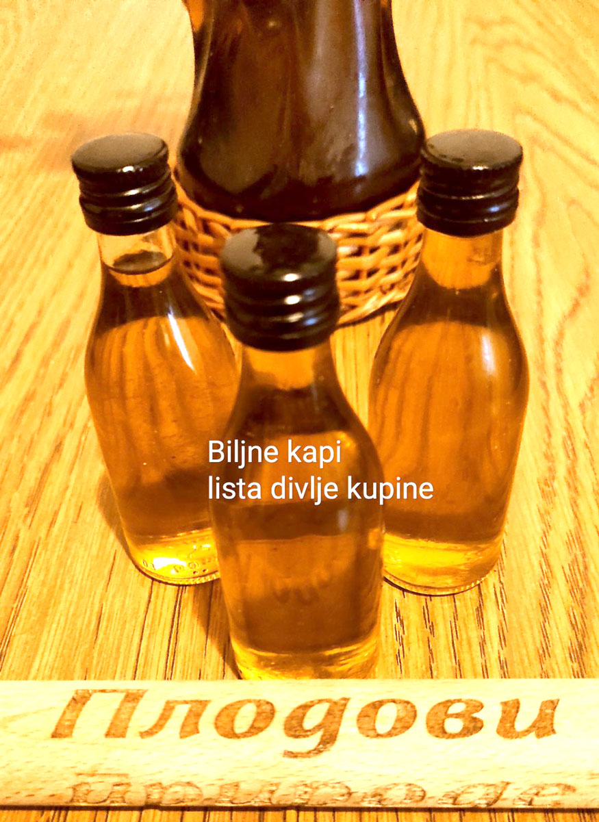 Tinktura lista divlje Kupine 2 Tinktura lista divlje Kupine - Slika 2