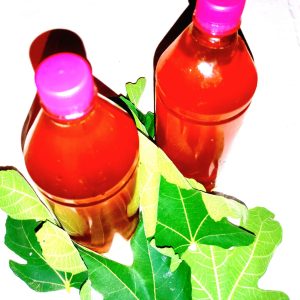 Sirup od lista Smokve