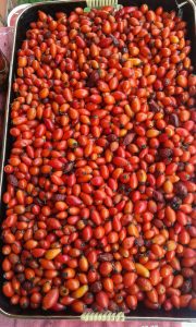 Sipak 02