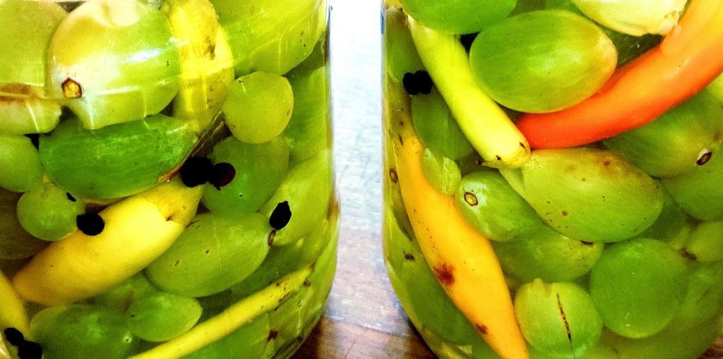 TursijaBeloGrozdje 02