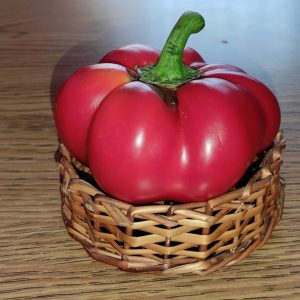 Paprika Paradajz - Rotund