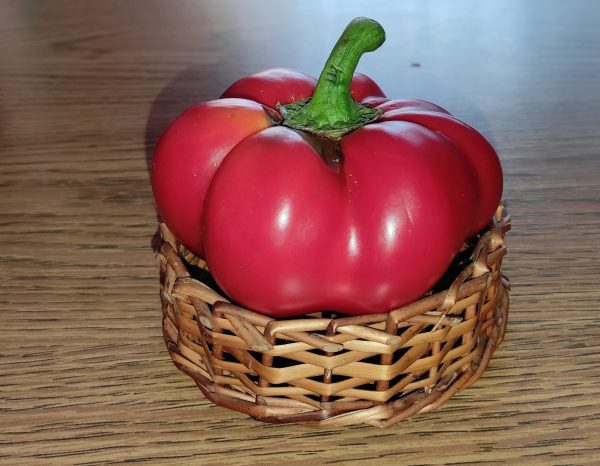 Paprika Paradajz - Rotund