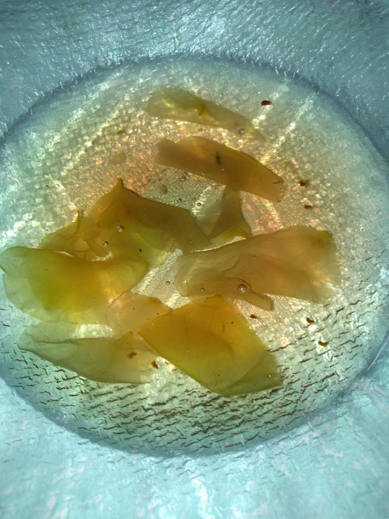 Slatko od latica ruza