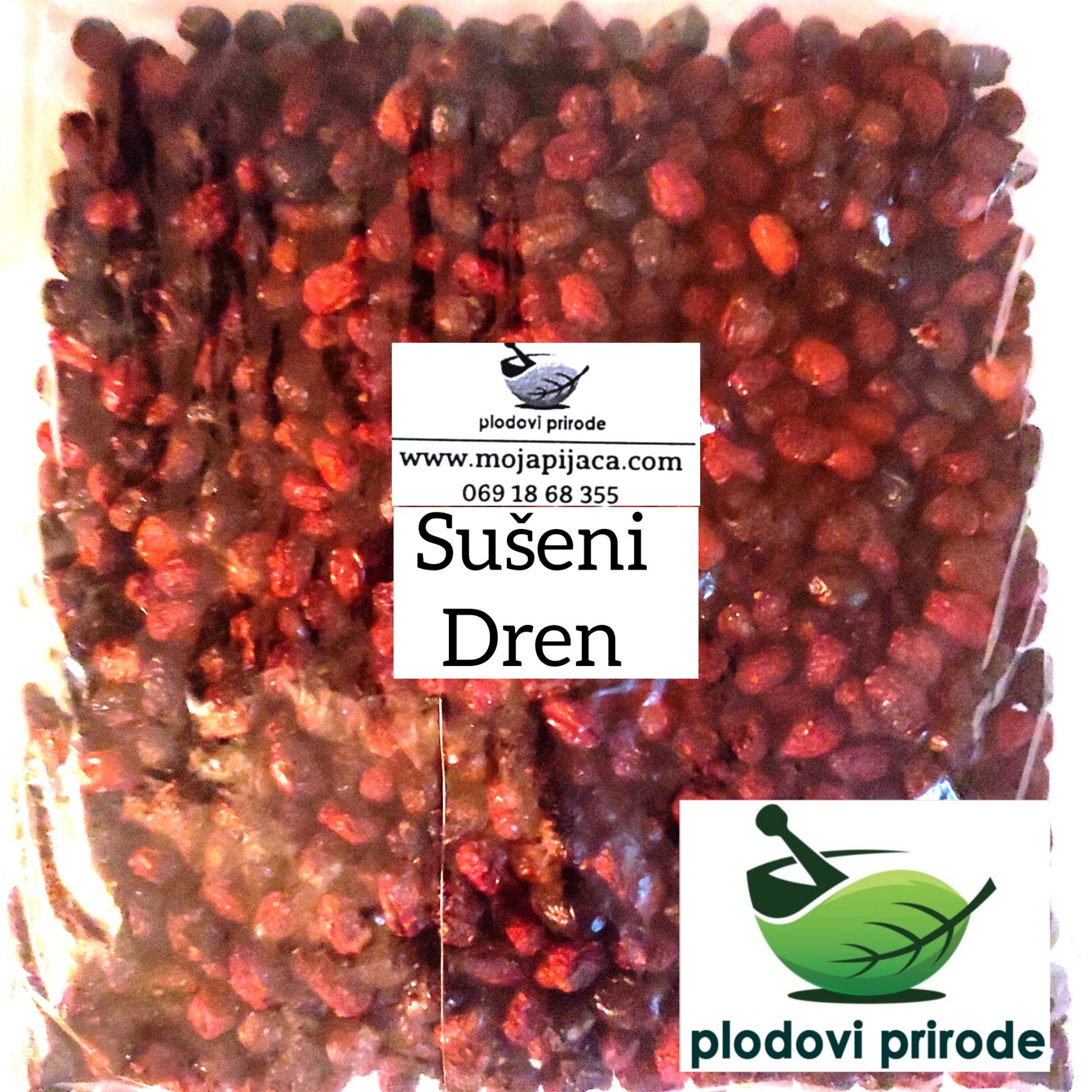 Čaj od sušenog drena za probavne organe, krvnu sliku, imunitet 1 Plodovi sušenog drena za čaj
