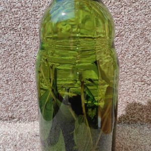 Travarica od žalfije.