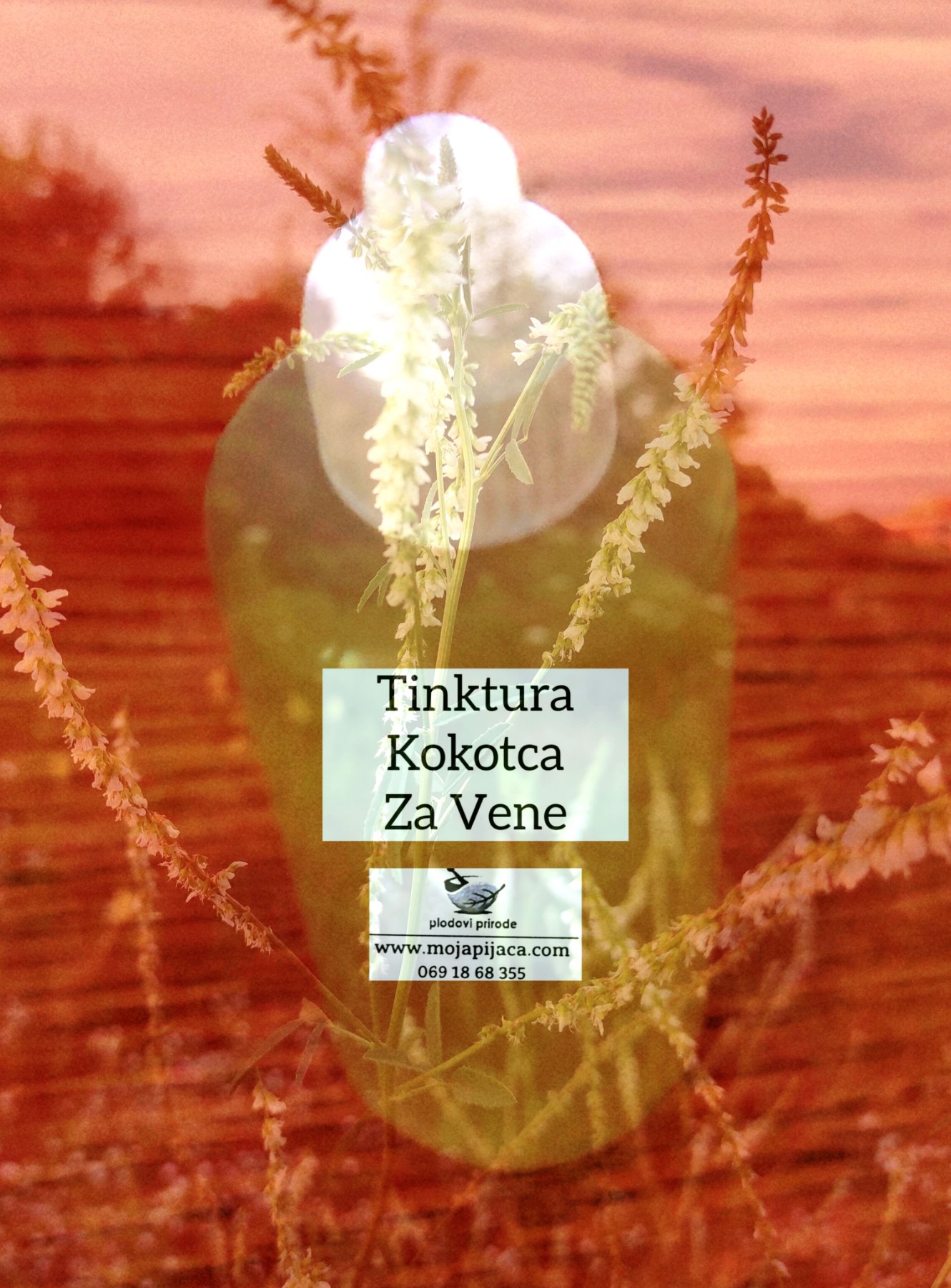 Tinktura-od-kokotca-za-vene