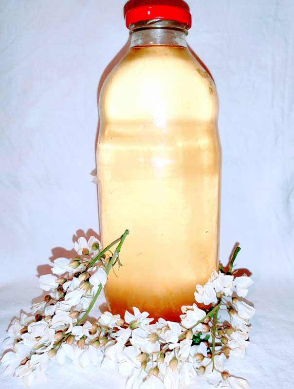SIRUP OD CVETA BAGREMA 1 Sirup na rastvaranje od cveta bagrema u staklenoj flasi od litar