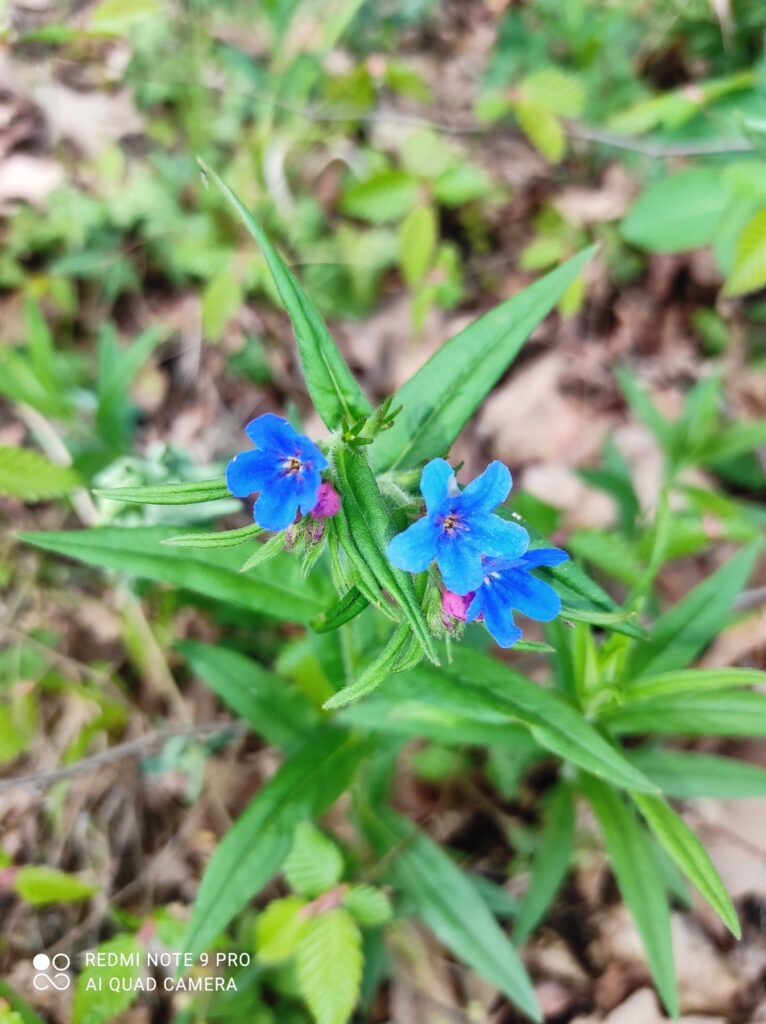 viber image 2024 04 29 00 47 23 063