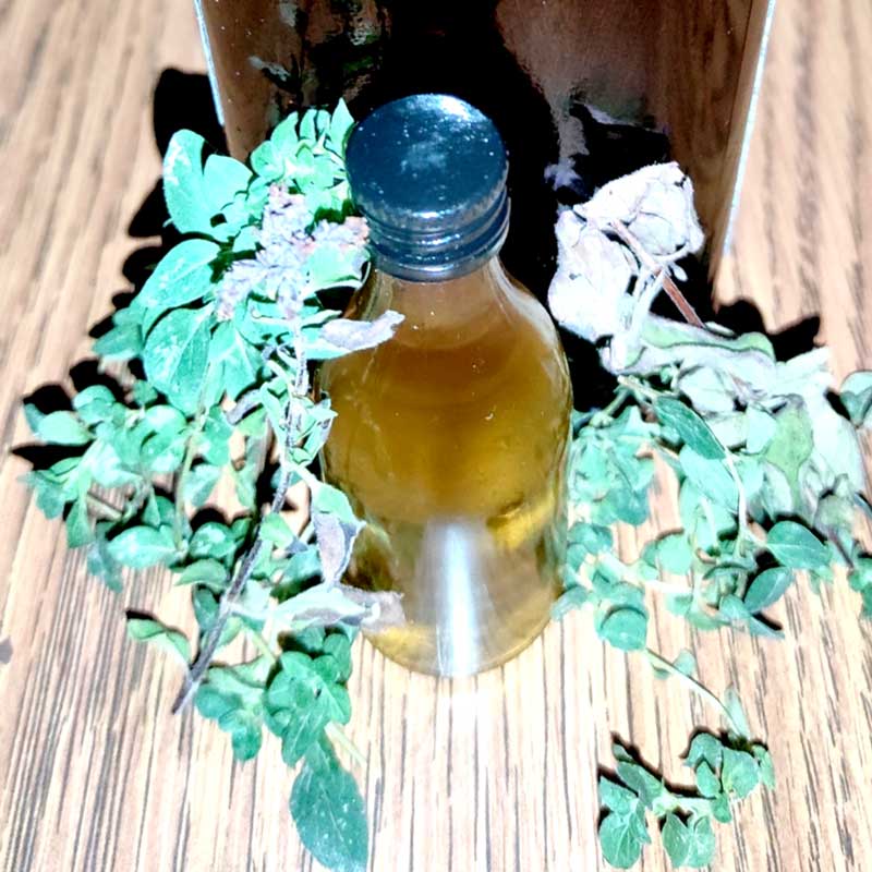 macerat divljeg origana