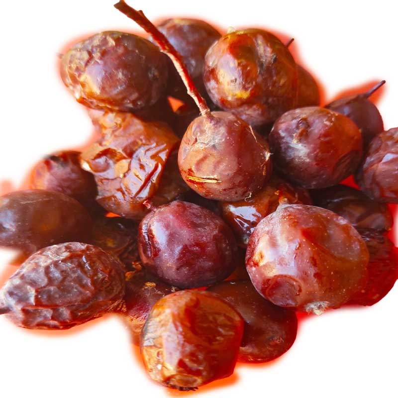 OSKORUŠA SEME