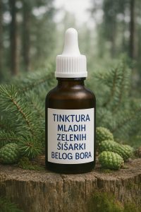 TINKTURA OD MLADIH ZELENIH ŠIŠARKI BELOG BORA ZA DISAJNE PUTEVE